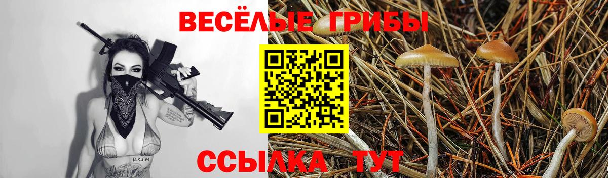 Галлюциногенные грибы ЛСД  Вход с VPN  Псилоцибиновые грибы GOLDEN TEACHER  Лесозаводск 